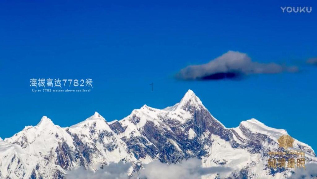 奥日与精灵意志