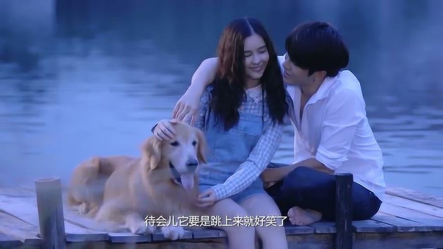 解救可爱的鸭子